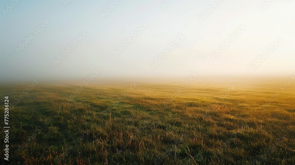 Fototapeta premium fog in the field landscape.