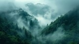 A mountain covered in green trees surrounded by fog and smog