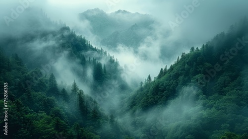  A mountain covered in green trees surrounded by fog and smog © Anna