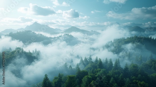  A dense forest blankets the verdant hilltop, obscured by a thick layer of fog beneath a clear blue sky