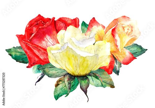Colorful floral illustration with three bright roses and leaves