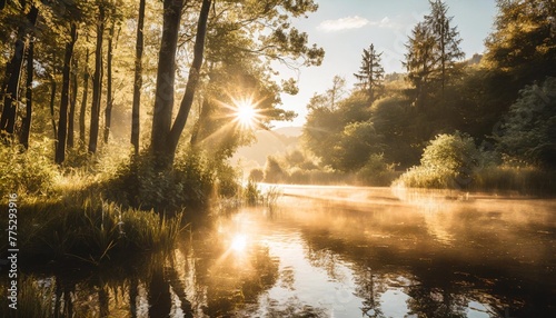 a tranquil forest scene captures the beauty of nature as the sun s rays filter through the water illuminating the lush trees and plants in a picturesque landscape