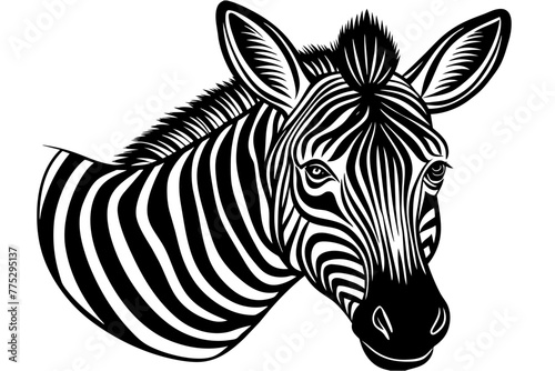 head-of-a-friendly-looking-zebra vector illustration 