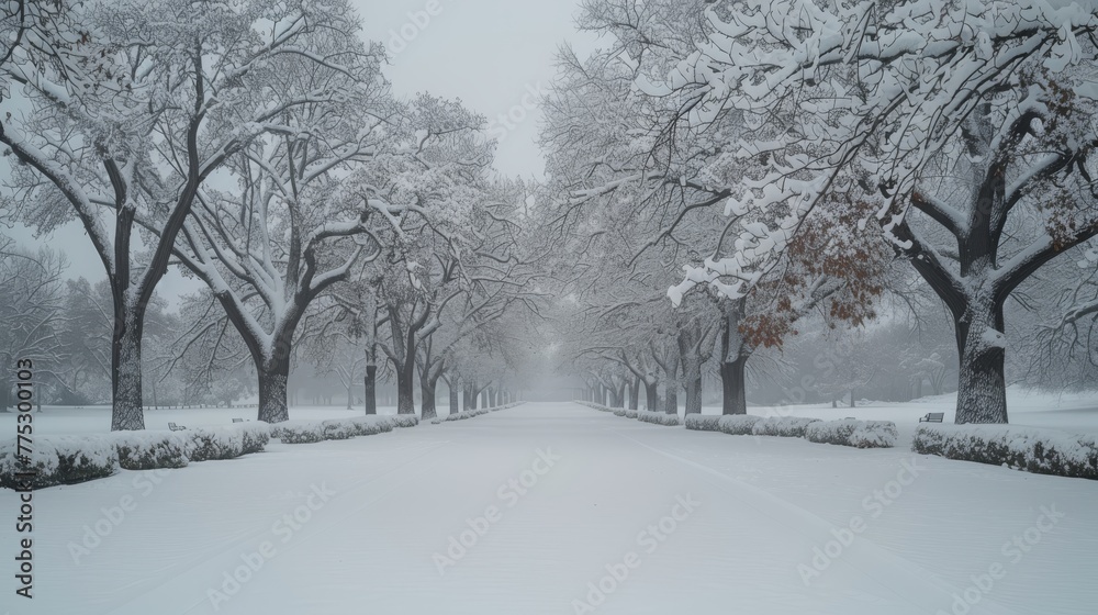   A snow-covered road runs through a park, surrounded by trees and bushes, with snowflakes falling onto the ground