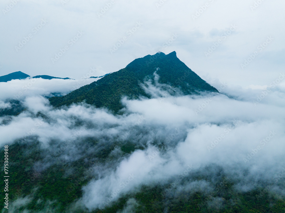 Landscape of tropical rain forest and sea of clouds in Wuzhishan, Hainan, China