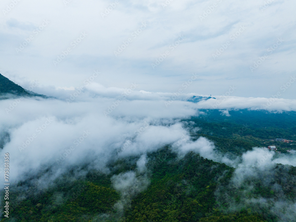 Landscape of tropical rain forest and sea of clouds in Wuzhishan, Hainan, China