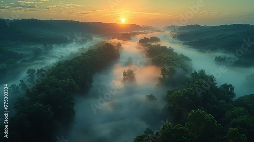  Aerial view of foggy valley with trees in foreground and setting sun in background