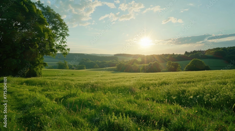 Beautiful sunset over a peaceful grassy field, perfect for nature backgrounds