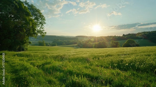 Beautiful sunset over a peaceful grassy field  perfect for nature backgrounds