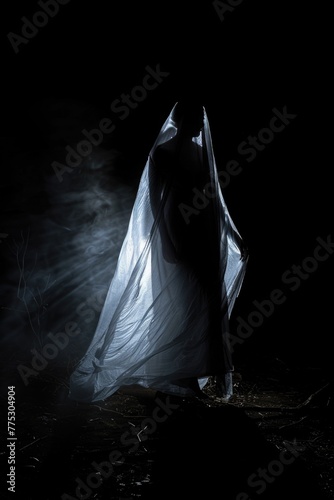 A spooky ghostly figure with a veil in the dark. Ideal for Halloween-themed designs