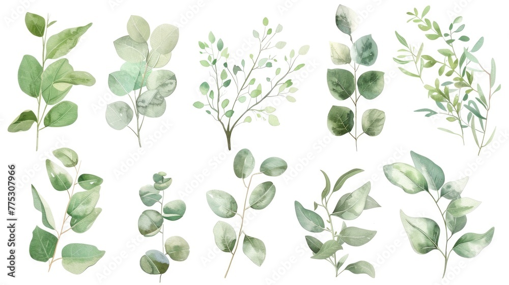 A collection of watercolor green leaves and branches. Perfect for nature-themed designs A collection of watercolor green leaves and branches. Perfect for nature-themed designs