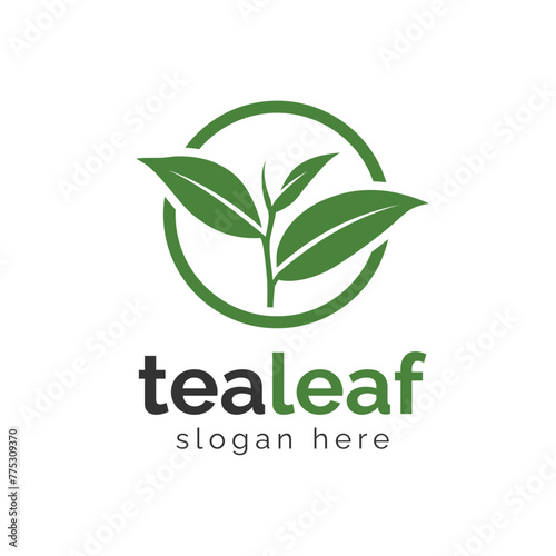 Tea leaf logo design. Tea tree vector logo design