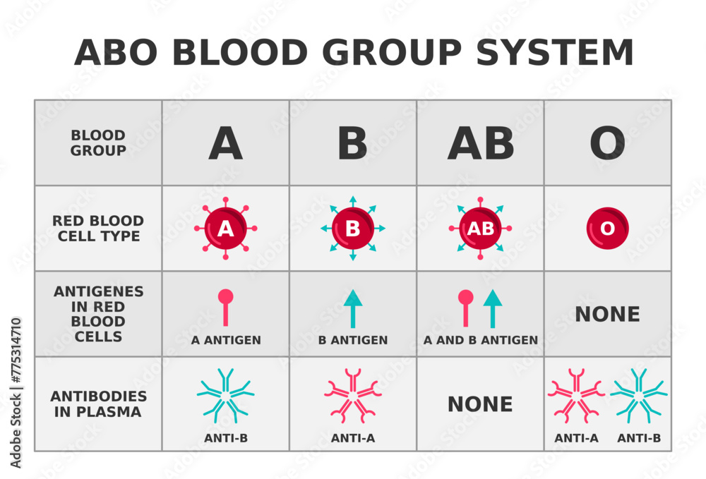ABO blood group system. Blood groups with anitigens and antibodies