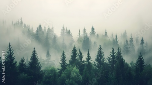 Misty landscape with fir forest in hipster vintage retro style © Philip