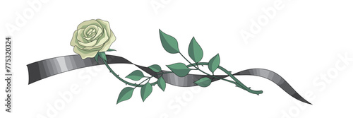 A mourning ribbon wraps around a white rose. An illustration for a funeral. The illustration is in a flat style.