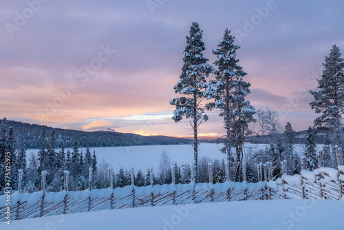 Norwegian Winter