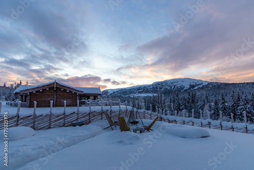 Norwegian Winter