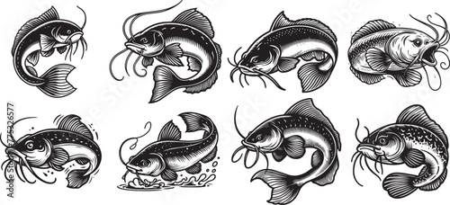 collection vector catfish graphics