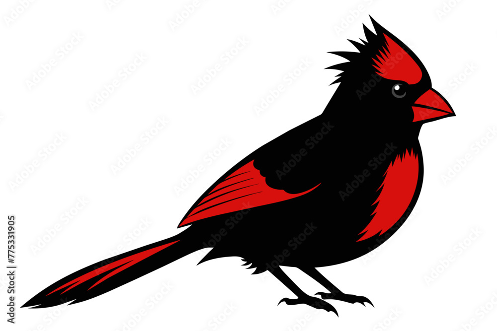 silhouette image,Cardinal bird,vector illustration,white background silhouette image,Cardinal bird,vector illustration,white background