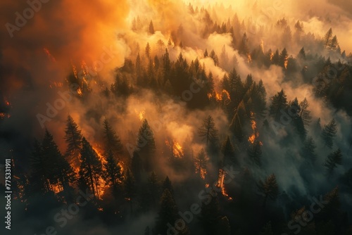 fire burning forest view from above