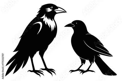 silhouette image Crow Jay bird vector illustration white background