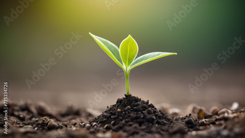 A Green Small Plant on The ground, with Blured and Noise, Background, generative ai