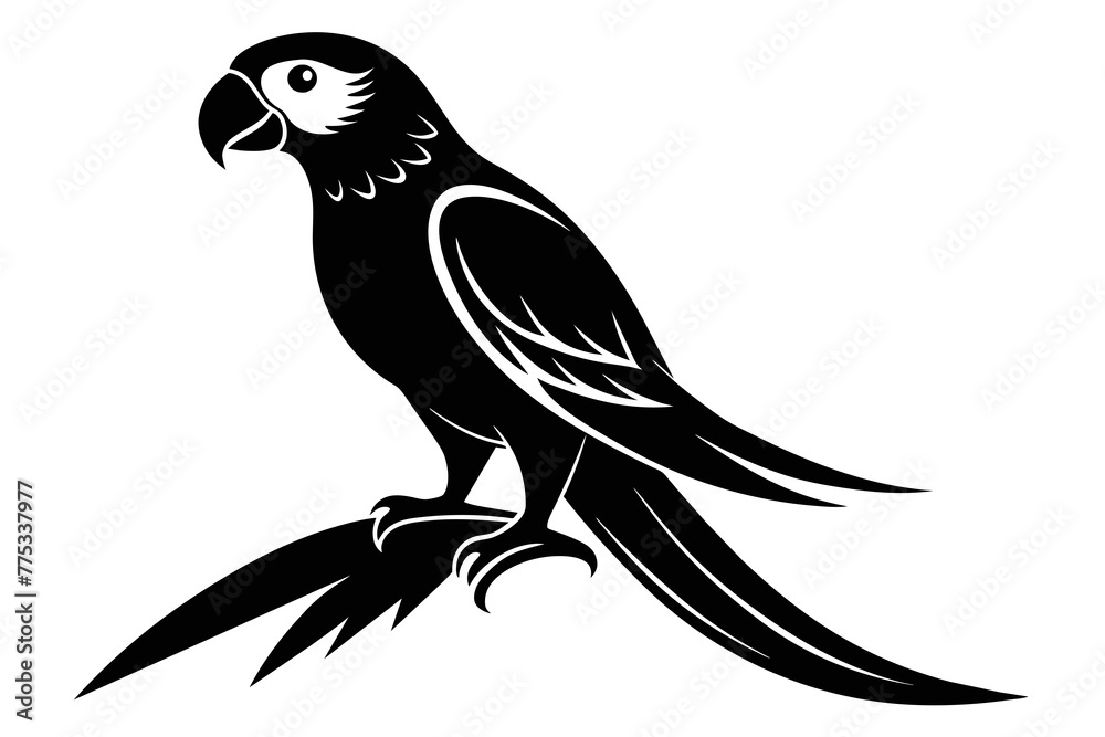 Fototapeta premium silhouette image,Parrot bird,vector illustration,white background