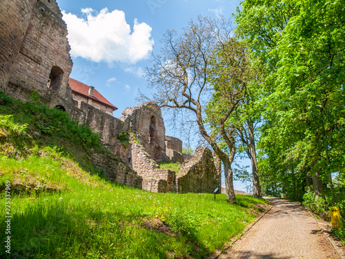 A scenic pathway leads to the entrance of the historic Pecka Castle  flanked by ancient walls and vibrant green foliage under a clear blue sky. Czechia