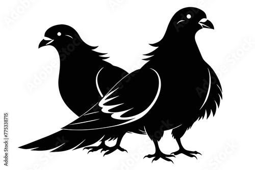 silhouette image,Pigeon bird,vector illustration,white background