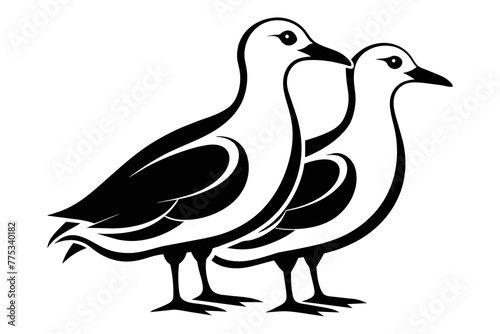 silhouette image Seagull  bird vector illustration white background