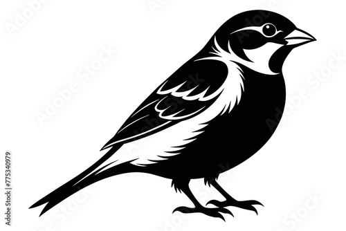  silhouette image,Sparrow bird,vector illustration,white background 