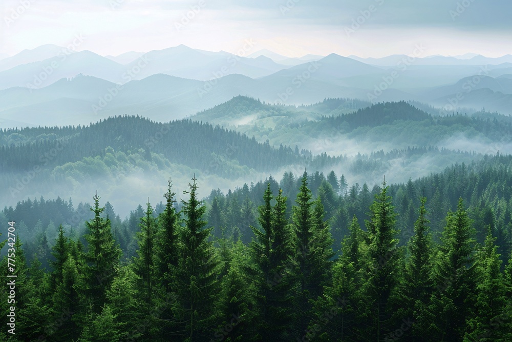 a forest of trees and mountains