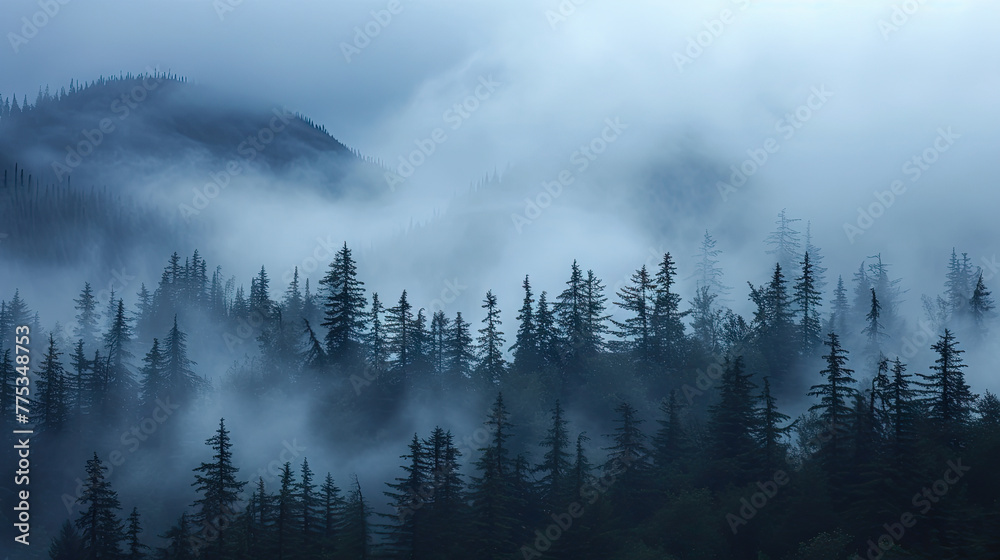 Mist rising from the evergreen forest in Misty Fiords National Monument, Alaska, USA Alaska, United States of America - obrazy, fototapety, plakaty 