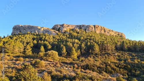 Le castell de Salvaterra vu depuis l'est photo