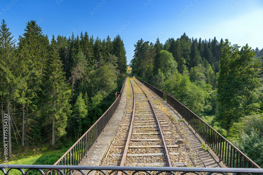 Voie ferrée traversant un viaduc et la forêt sous un ciel bleu en Auvergne Voie ferrée traversant un viaduc et la forêt sous un ciel bleu en Auvergne
