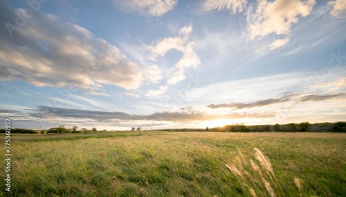 green meadow under blue sky with clouds