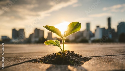 young evolving plant seedling growing out of craced concrete with city skyline in the background symbolizing nature taking back the rural environment generative ai photo