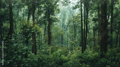 Vibrant green forest panorama with towering trees for World Environment Day photo
