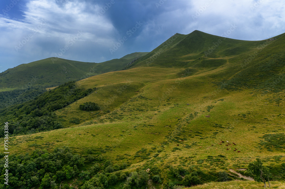 Vue des monts Dore en Auvergne l'été