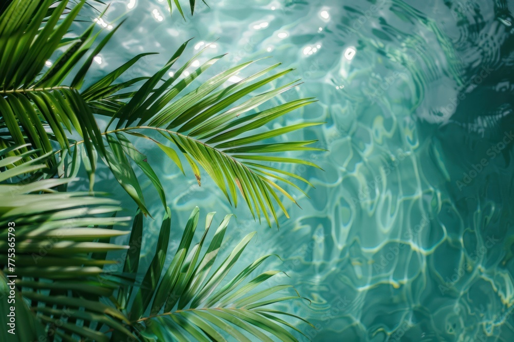 Water background with beautiful palms