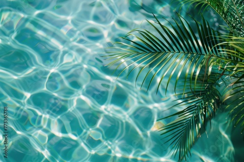 Water background with beautiful palms © Anna