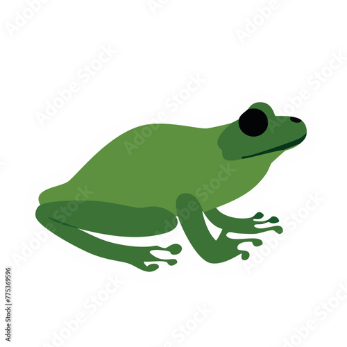 Amazonian frog vector, vectorized image of frog for graphic design and logos for stikers, with details of branches, vectorized frog to design sports t-shirts