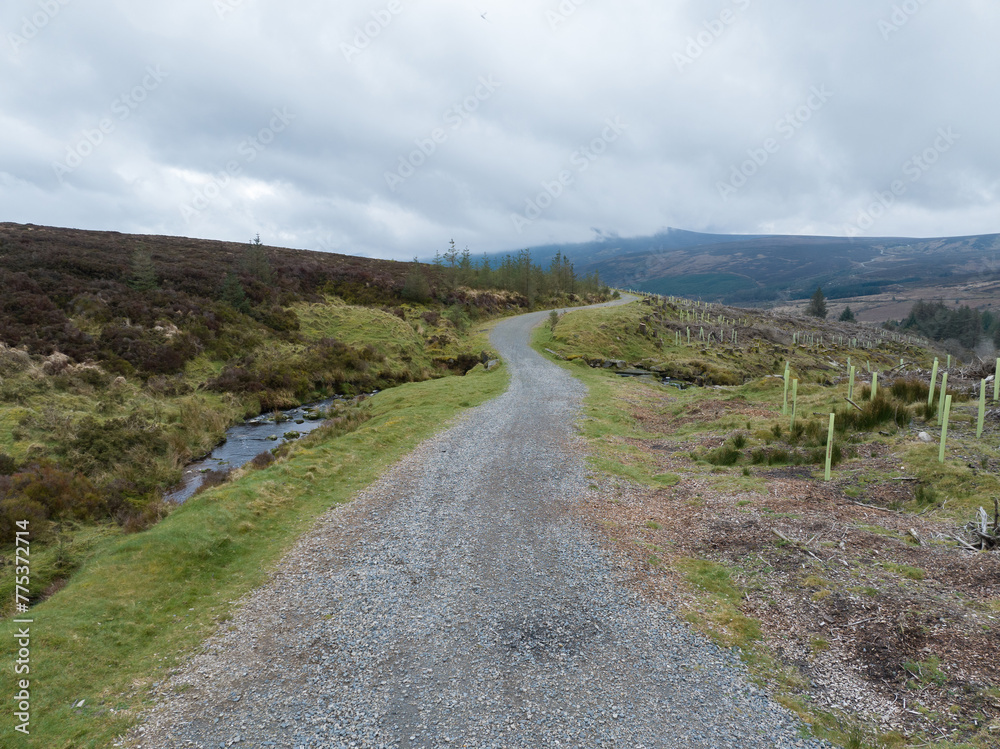 footpath and river in wicklow mountains, ireland footpath and river in wicklow mountains, ireland