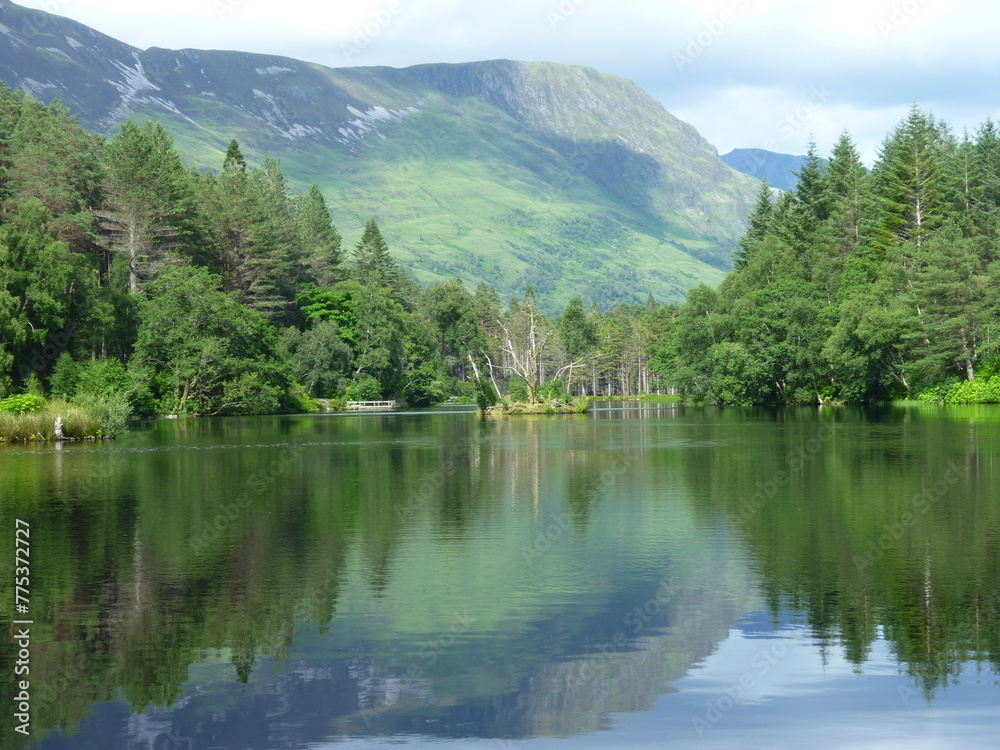 Fototapeta premium La forêt canadienne de Glencoe