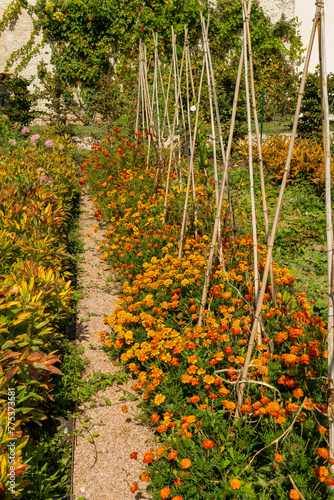 a border full with blooming orange, yellow and red flowers