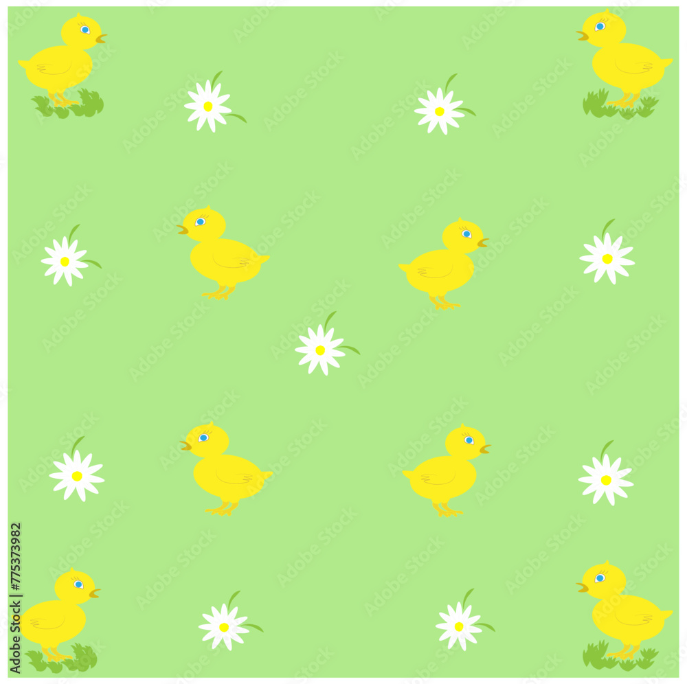 There are little yellow chickens and daisies in a green meadow. The concept of Easter and agriculture