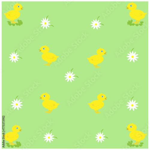 There are little yellow chickens and daisies in a green meadow. The concept of Easter and agriculture