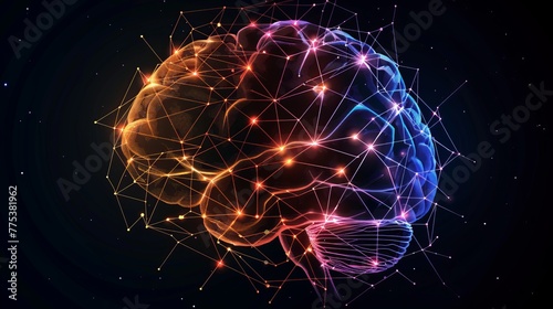 Neuroscience: the brain's neural networks and their role in cognition, behavior, and neurological disorders.