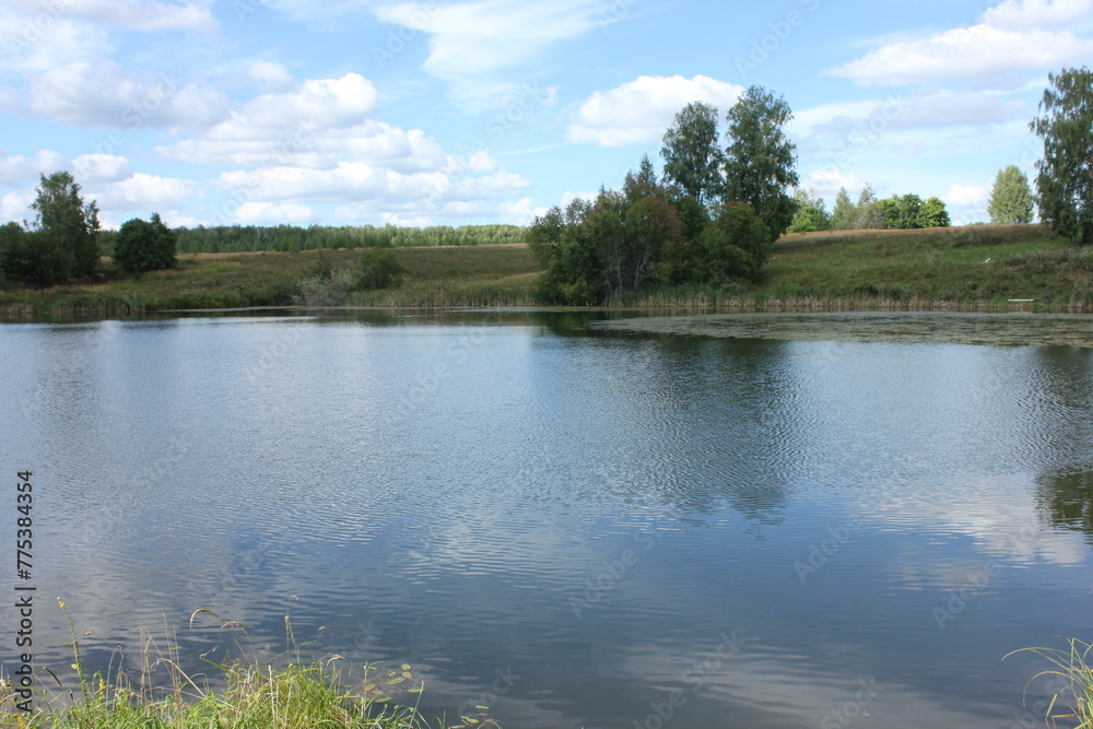 lake in the forest