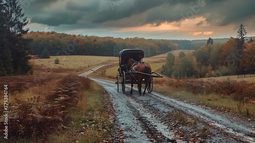Horse-drawn carriage traveling down a country road